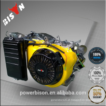 Bison China Zhejiang Confiável 168F Gasolina Motor Gasolina Motor Gasolina Controle Remoto Motor Elétrico 6.5HP